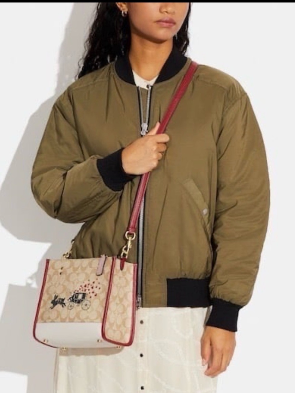Coach Lunar New Year Dempsey signature canvas with a rabbit and carriage motif - Picture 2 of 15
